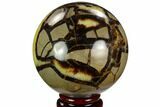Polished Septarian Sphere - Madagascar #122927-1